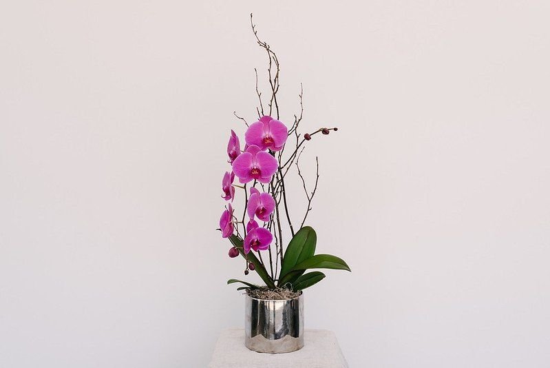 Small Floral Centerpiece 