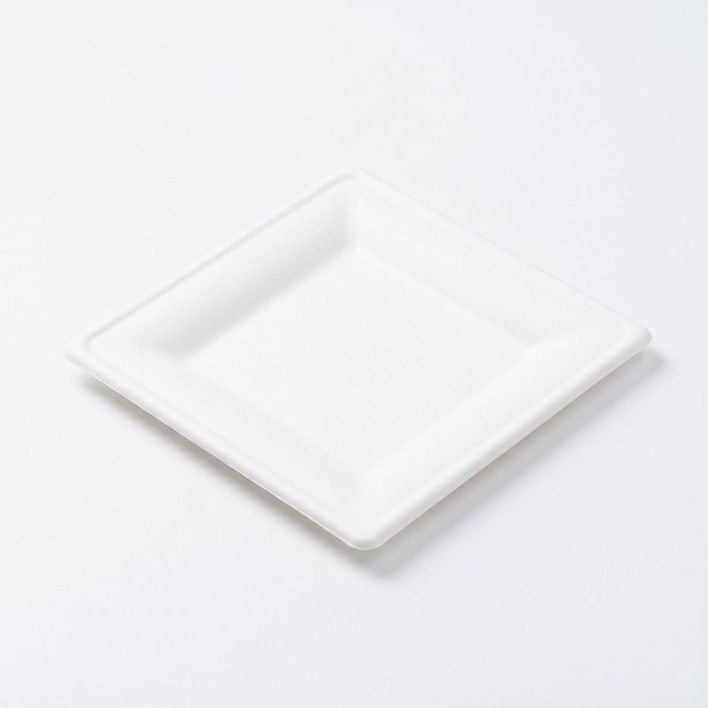 10 Inch Square Plate (Compostable)